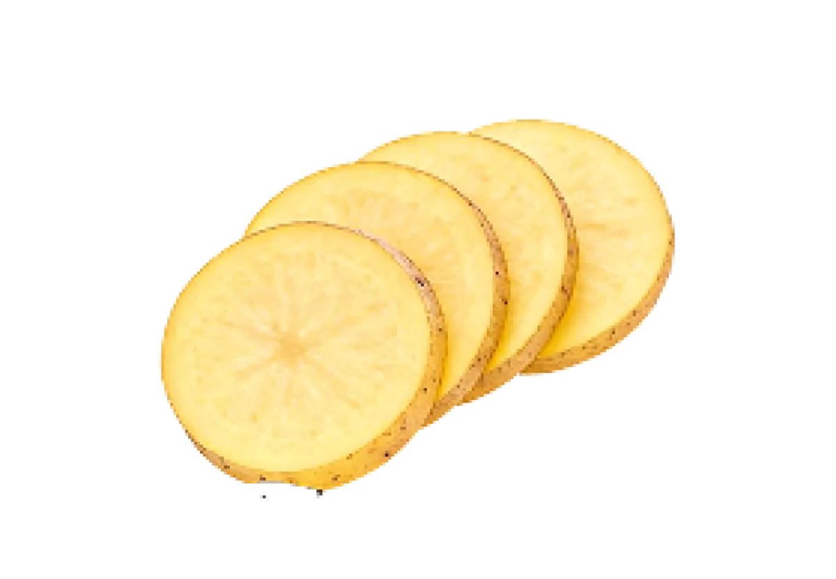 Potato