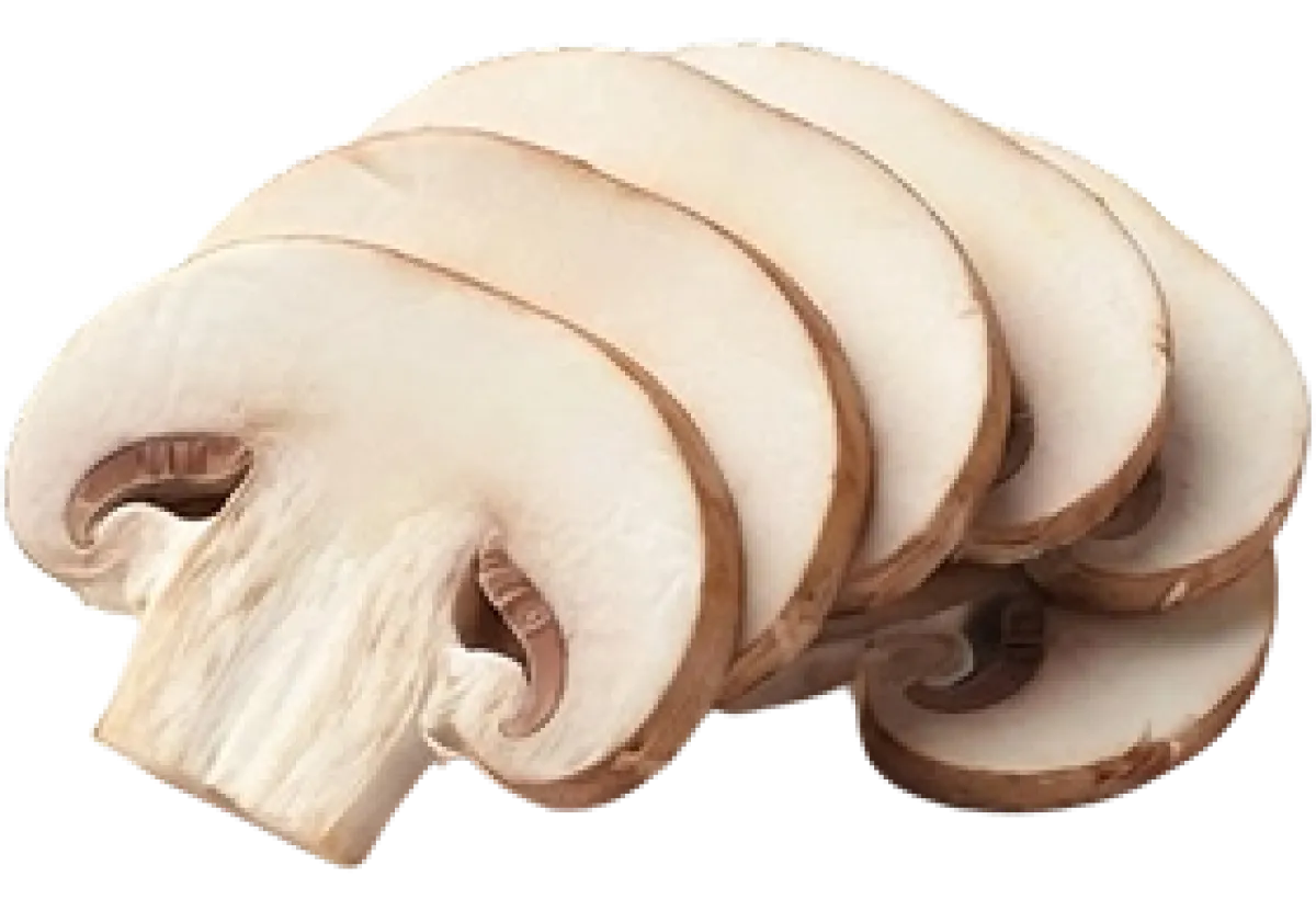Flat Mushroom