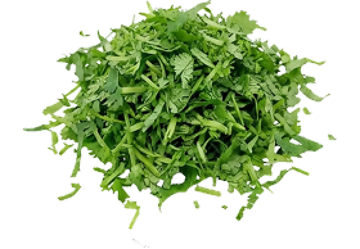 Coriander