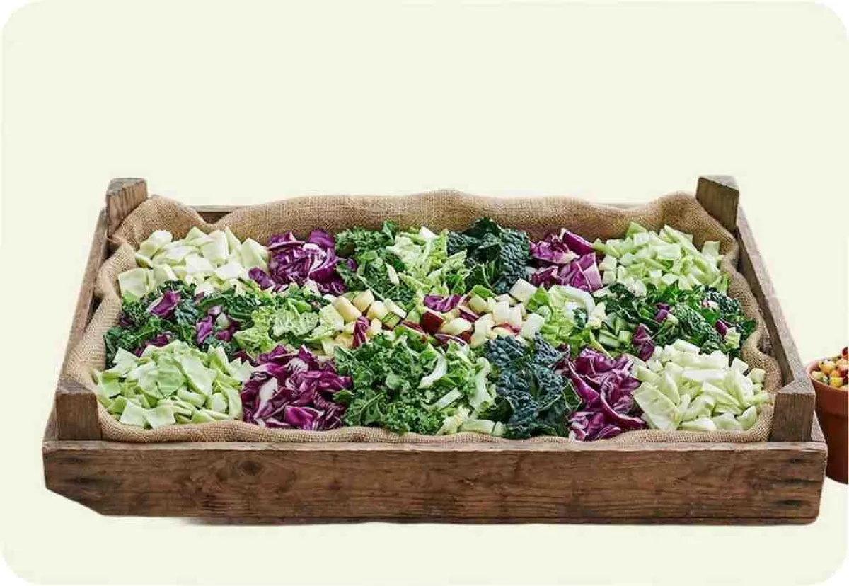 Brassica